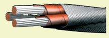 БИФЭ-Н 3х0,5